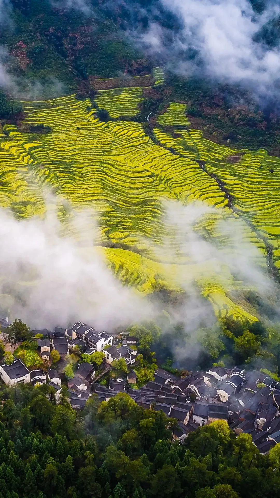 江西任务完成与技能学习指南,详细步骤攻略