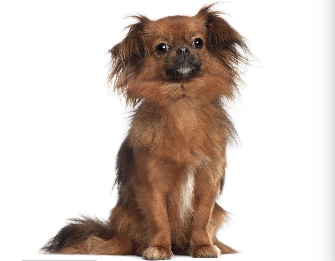 西藏，纯净天空之境的神秘诱惑